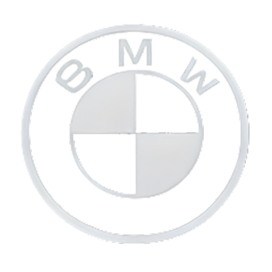 BMW Logo