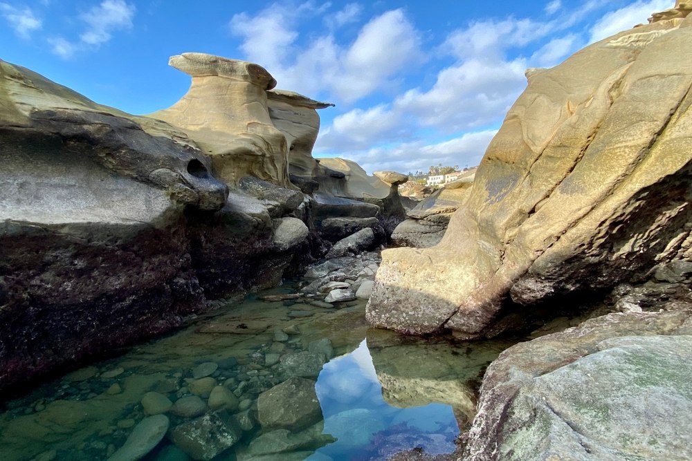 Smog Check Services in Bird Rock, CA