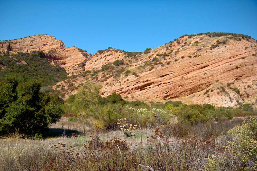 Smog Check Services in Black Mountain Ranch, CA