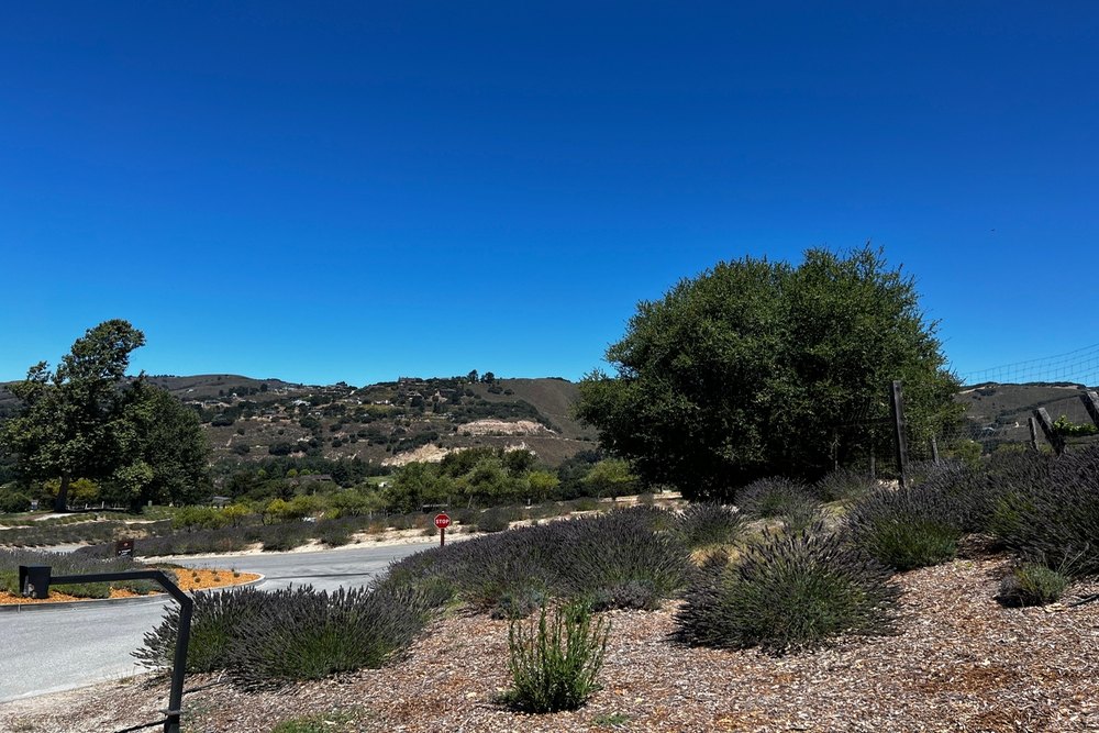 Smog Check Services in Carmel Valley Ranch, CA