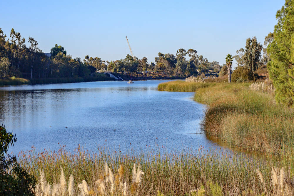 Smog Check Services in Lake Miramar Area, CA