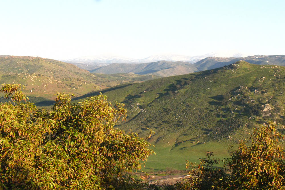 Smog Check Services in San Pasqual Valley, CA